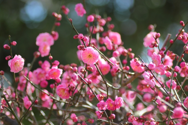 1cdf4d74f3c41646b2c9100004dd16c9_s