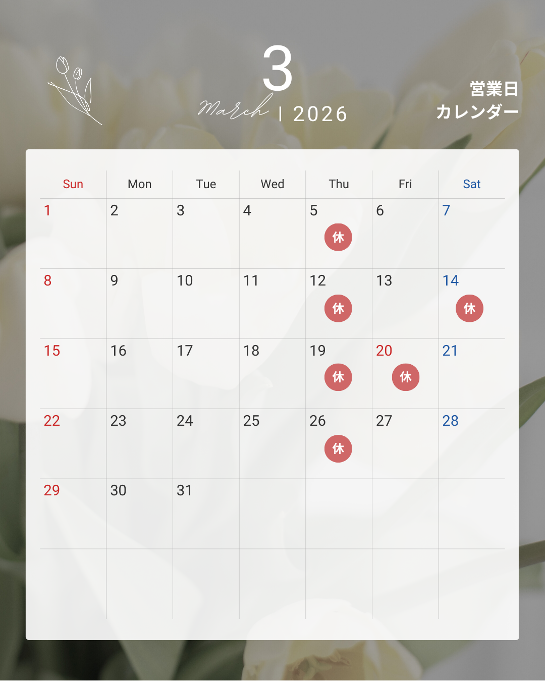 5_20260228_123149_0000